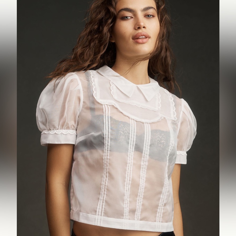 NWT Maeve Short-Sleeve Sheer Scallop-Trim Blouse ANTHROPOLOGIE SZ L NEW